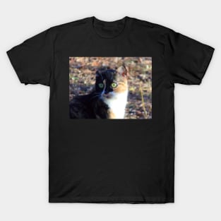 One Eared Cat T-Shirt